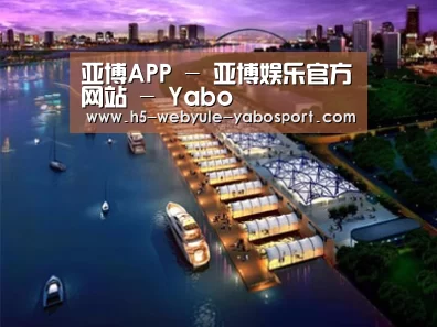 案例展示八