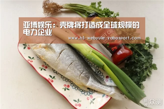 亚博娱乐:壳牌将打造成全球规模的电力企业(图4) 亚博官网