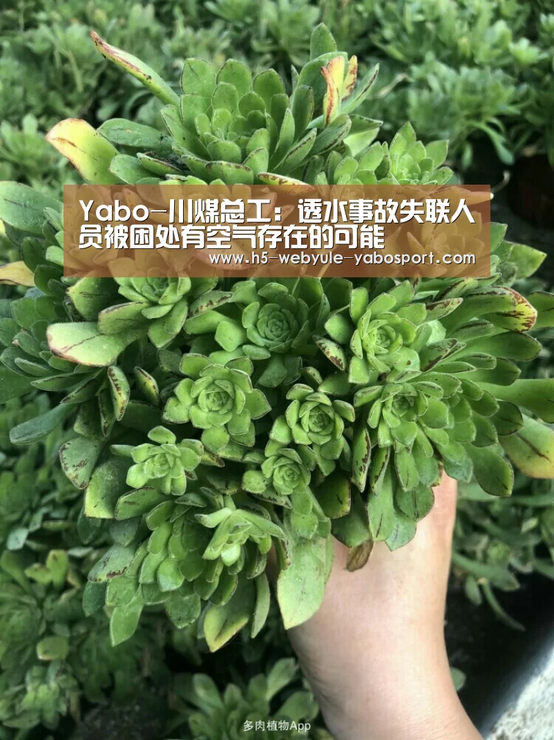 Yabo-川煤总工:透水事故失联人员被困处有空气存在的可能(图1) 亚博娱乐