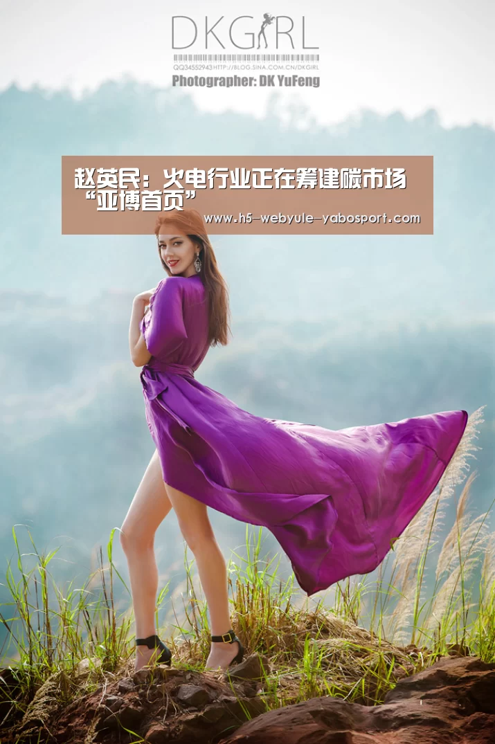 赵英民:火电行业正在筹建碳市场“亚博首页”(图3) 亚博首页