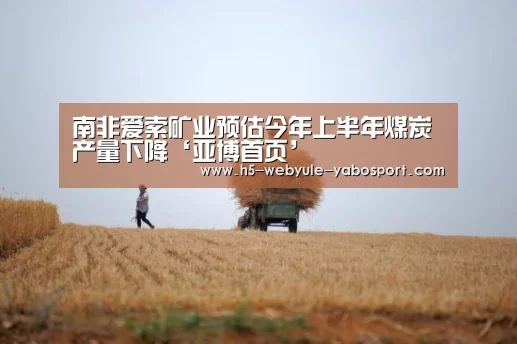 南非爱索矿业预估今年上半年煤炭产量下降‘亚博首页’(图2) 亚博官网