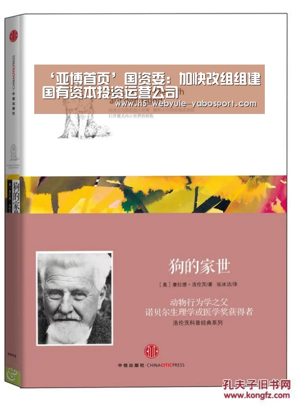 亚博娱乐